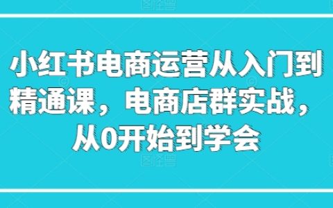 小红书电商培训全套课程：从基础到高级，电商店群实战操作，带你从零基础走向精通