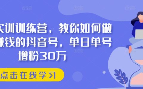 抖音实战培训课程：掌握盈利抖音账号运营技巧，实现单日单号粉丝增长30万