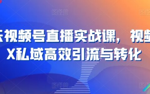 视频号直播实操教程：21天掌握私域流量高效引流与转化策略