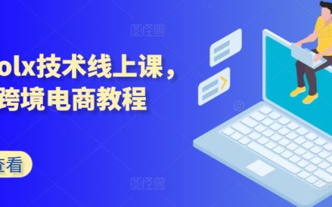 波兰OLX平台在线培训课程，Kim老师教你跨境电商实用技巧