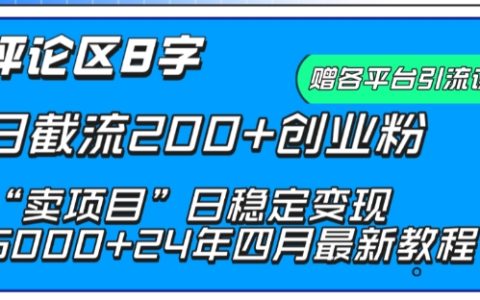 揭秘抖音评论区引流术：8字截流200+创业粉，轻松卖项目日稳赚5000+ [实用技巧]