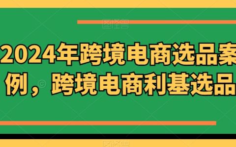 2024年跨境电商热销产品分析，探索细分市场的利基选品策略【深入研究】