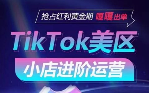 TikTok美国小店进阶运营攻略：抓住红利期，实现订单暴增【独家技巧揭秘】