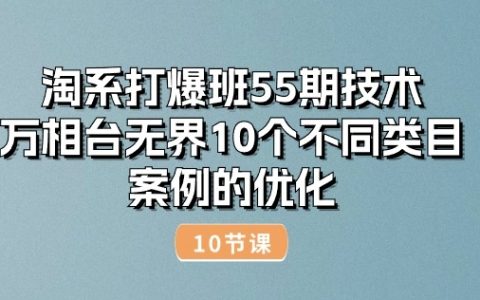 淘系打爆班第55期技术解析：万相台无界优化，10大不同类目案例深度分析（共10讲）