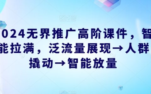 2024年无界推广高阶教程：智能优化全流程，从泛流量到精准人群，再到智能放量