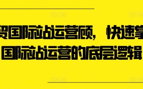 外贸国际站运营快速入门课程：掌握核心运营逻辑，提升业绩技巧【揭秘】