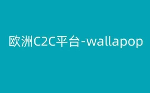 欧洲C2C平台Wallapop跨境电商教程：跟随Kim深度解析市场策略和运营技巧