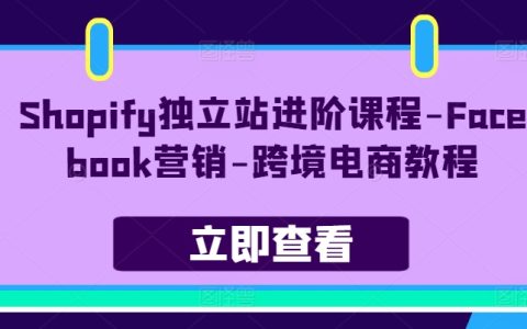 Shopify独立站进阶课：Facebook 营销，跨境电商秘籍！