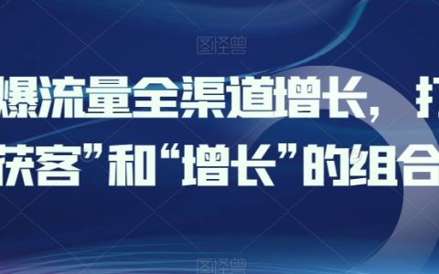 全渠道流量增长策略：有效结合获客与增长，实现流量激增