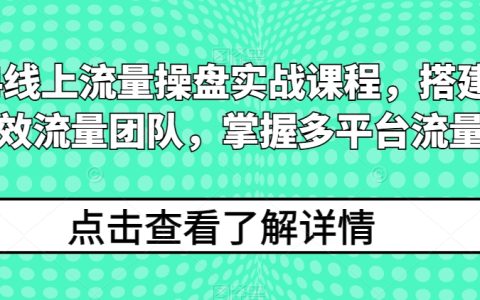 2024年线上流量运营实战班：构建高效流量团队，精通多平台流量获取策略