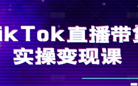 TikTok直播电商实战解析：从零开始打造账号、精准复盘、完整变现路径、直播设备配置、小店运营流程、团队建设全指南