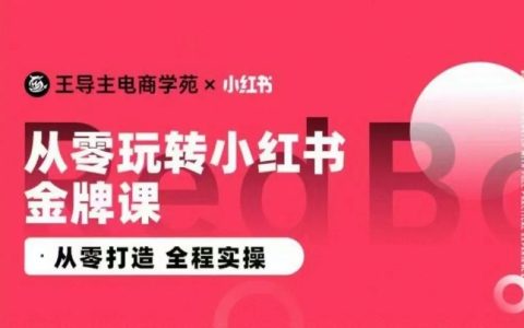 王导主小红书电商实战课程，零基础全程实操教学