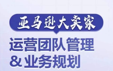 揭秘亚马逊大卖家运营团队管理：如何打造超强实力，实现业务规划与成长