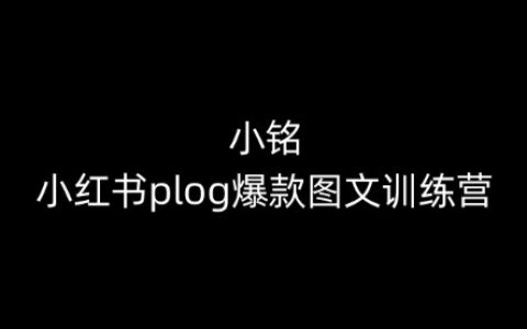 小铭小红书Plog教程：从零基础到爆款图文创作者的全程训练【揭秘】