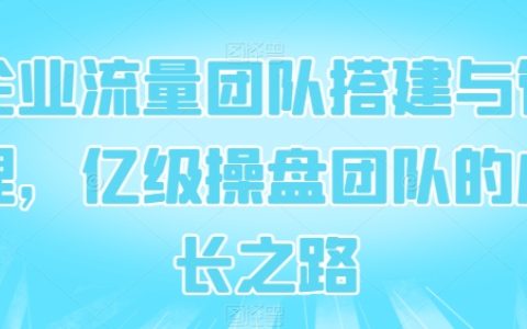 企业流量团队搭建与管理，探索亿级操盘团队的成长之路。