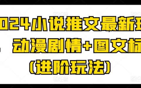 2024小说推广新策略：结合动漫剧情与图文标记的进阶玩法