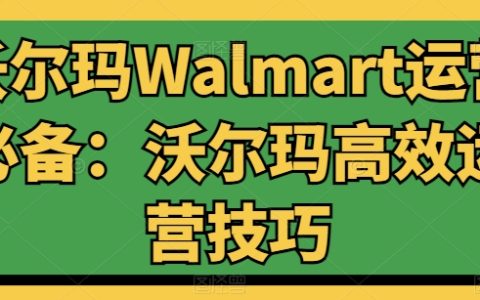 沃尔玛运营攻略：掌握高效沃尔玛店铺运营技巧，提升销售业绩