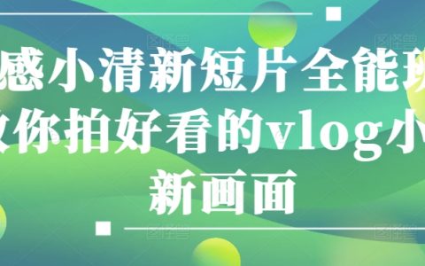 情感短片创作课程：掌握vlog小清新画面拍摄技巧，全面提升影像表达能力