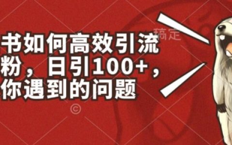 小红书引流创业粉秘籍：揭秘高效引流的秘密，每天轻松吸粉100+