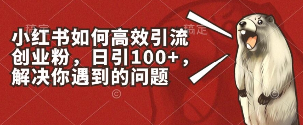 小红书如何高效引流创业粉，日引100+，解决你遇到的问题【揭秘】