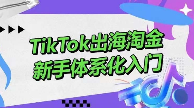 TikTok出海淘金，新手体系化入门，零基础快速入门，掌握短视频、直播带货等引流到变现的知识