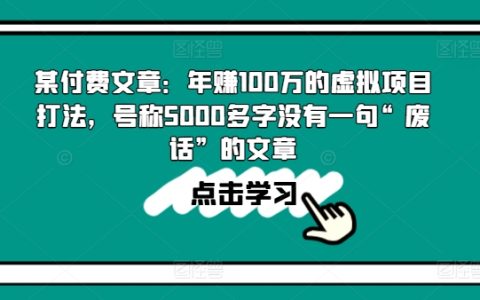 揭秘年收入百万的虚拟项目策略：超过5000字的详尽解析，字字珠玑