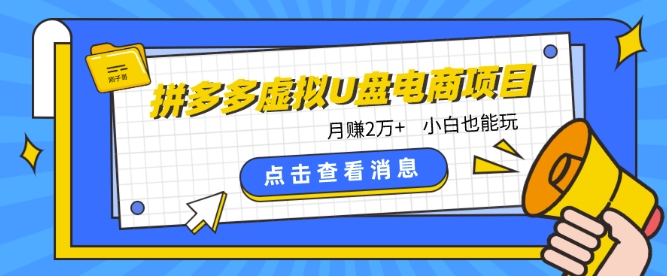 拼多多虚拟U盘电商红利项目：月赚2万+，新手小白也能玩