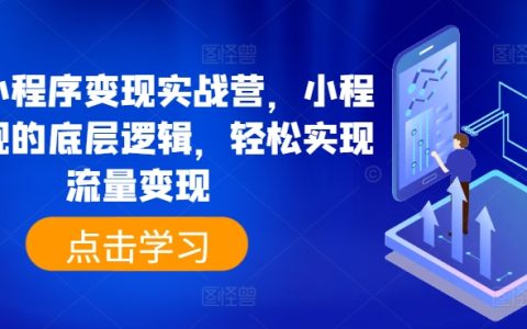 抖音小程序盈利实操课程，掌握流量变现的深层原理，简单上手赚取收益