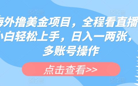 海外美元收益项目揭秘：直播教学带你入门，小白日入一两张，多账号操作技巧【详细曝光】