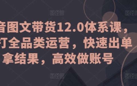 抖音图文带货12.0课程：全面运营策略，快速成交，提升账号效能