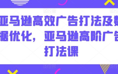 亚马逊广告攻略：高效打法与数据优化技巧，亚马逊高级广告策略课程