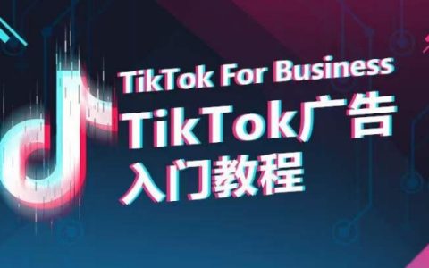 掌握TikTok广告投放：从入门到精通，百度SEO优化版标题推荐：TikTok广告新手入门教程，零基础快速掌握全流程！