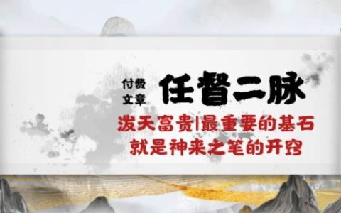 某付费文章《任督 二脉 泼天富贵|最重要的基石 就是神来之笔的开窍|万字》