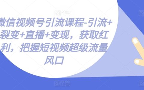 微信视频号引流课程：直播变现+裂变推广+获取红利，轻松把握短视频超级流量风口！