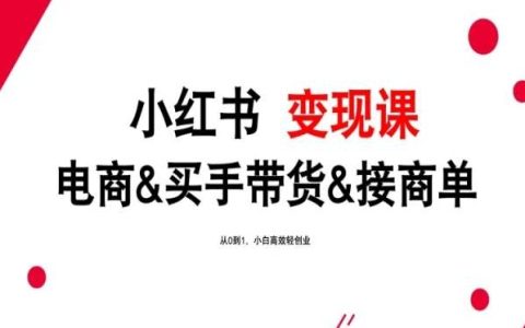 2024小红书变现全新教程：电商、买手带货、接商单，0基础到1技能，小白快速轻创业指南！