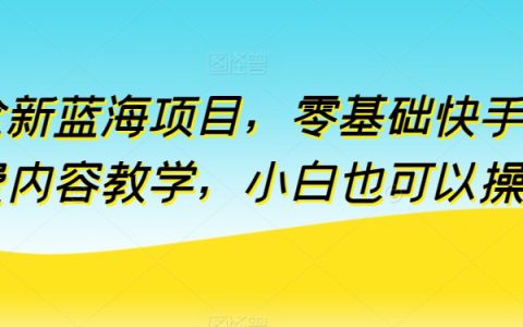 揭秘全新蓝海项目：零基础快手付费内容教学，小白也能轻松操作！