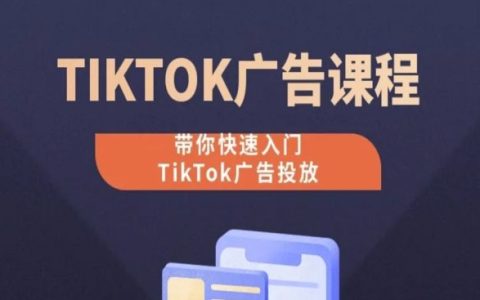 TikTok广告投放入门到精通课程，0基础实操教学，助你快速掌握TikTok广告投放技巧