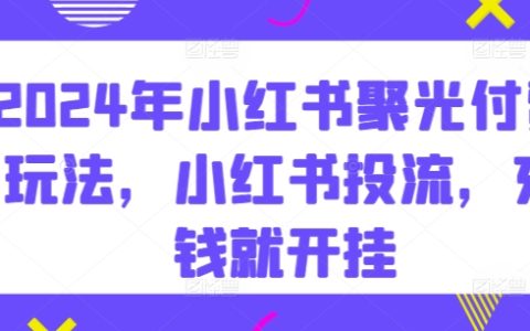 2024年小红书付费玩法大揭秘：投流充钱，开启小红书赚钱新篇章！