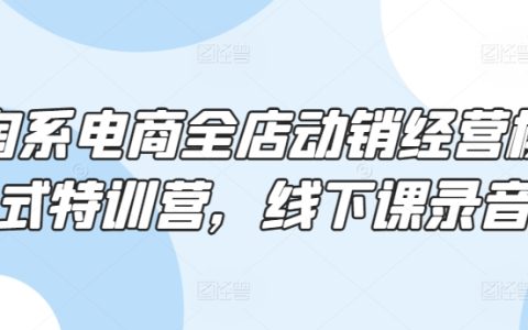 淘宝电商动销突破全攻略：实战型线下课程录音分享