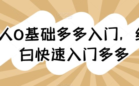 零基础新手指南：全方位快速上手拼多多电商运营