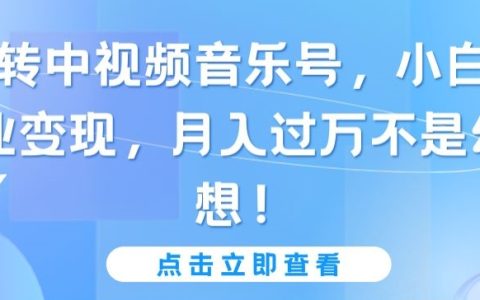 【揭秘】如何通过中视频音乐号实现小白副业月入过万：操作指南与变现策略