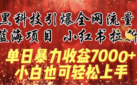 独家蓝海项目：黑科技助力全网流量，小红书新用户拓展，日收益超过7000+，初学者也能快速上手【深度解析】