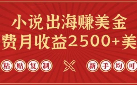 小说出海赚美金，稿费月收益2500+美金，仅需chatgpt粘贴复制，新手也能玩转【揭秘】