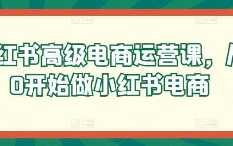 小红书电商入门到精通课程，从零基础打造电商运营高手