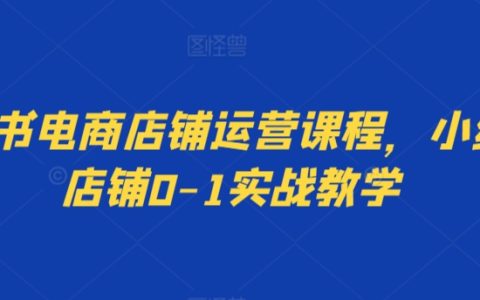 小红书电商入门实战宝典：手把手教你从零起步打造热门店铺