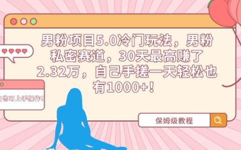 男粉项目5.0冷门策略揭秘：私密赛道30天盈利2.32万，每日轻松收入1000+【实战解析】