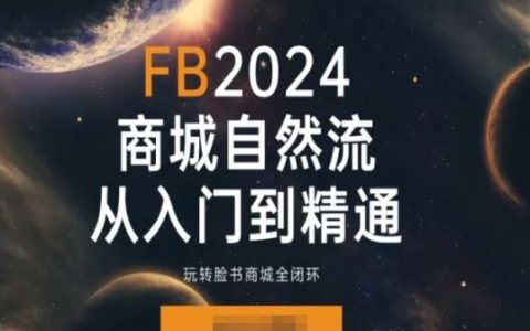 2024年Facebook商城实战教程：入门精通全闭环营销策略