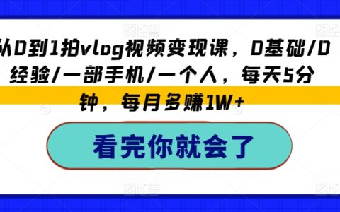 从零开始Vlog赚钱教程：无基础/无经验，手机拍摄，单人操作，每日5分钟，实现月入万元实战指南