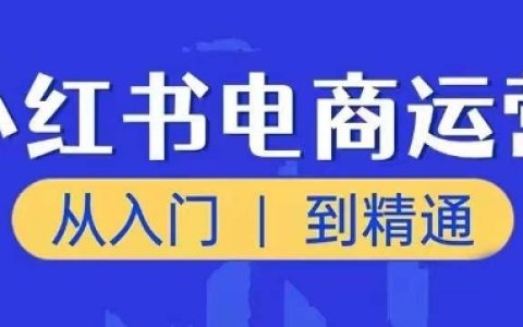 小红书电商运营实战指南：新手到高手进阶之路，抢占市场新机遇