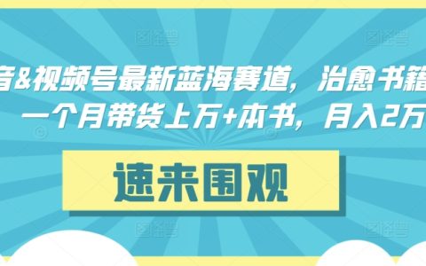 抖音与视频号的新兴蓝海领域：治愈书籍高效带货，单月狂销万本，月进账 2 万+大揭秘